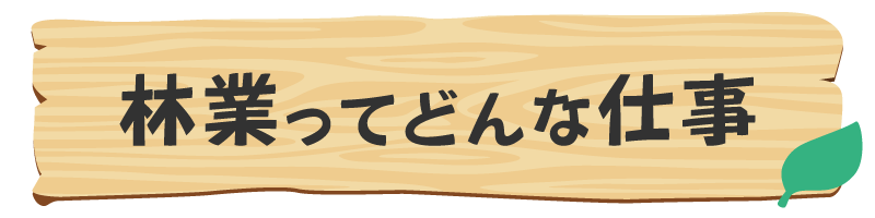 林業ってどんな仕事