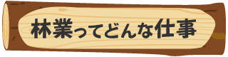 林業ってどんな仕事